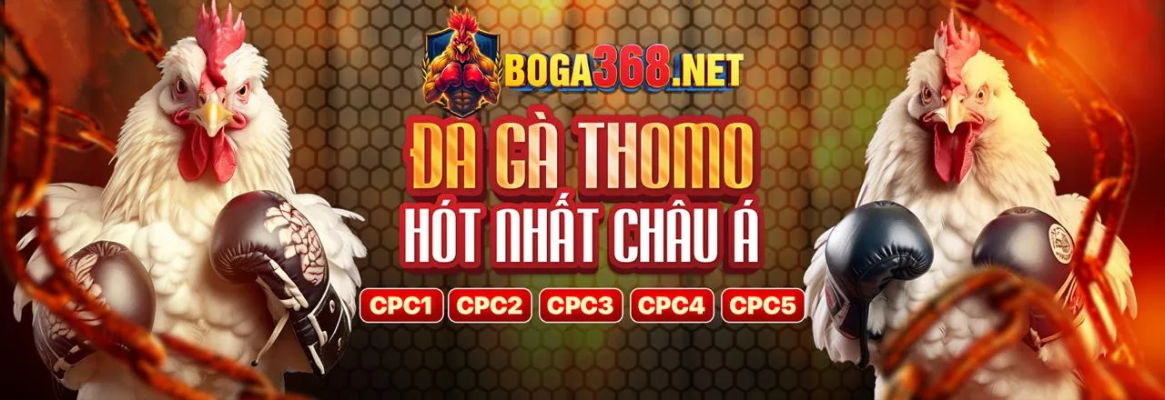 Nền tảng cá cược trực tuyến đá gà Thomo Win2026