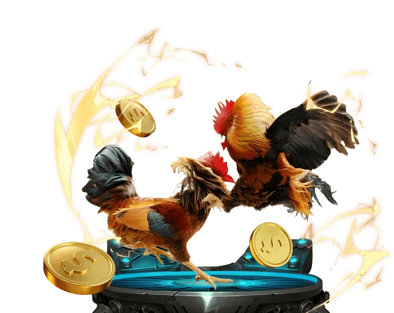 Mẹo đặt cược đá gà an toàn